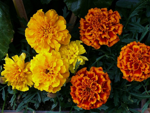 424133 (a): :1024x768